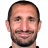 G. Chiellini