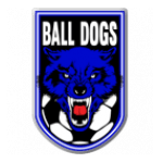 Ball Dogs