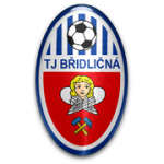 Bridlicna