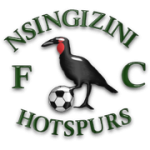 Nsingizini Hotspurs